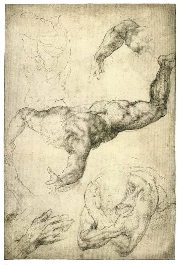 Studies for a Flying Angel by Michelangelo